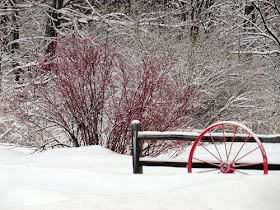 red wheel and white snow