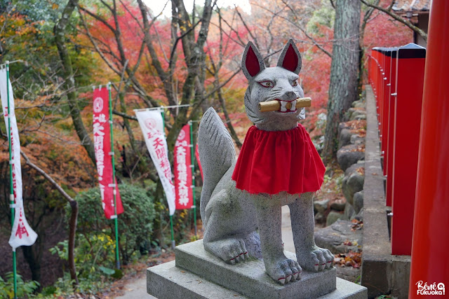 展開稲荷神社、太宰府、福岡