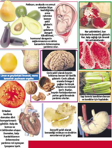 Organlara benzeyen yiyeceklerin faydaları