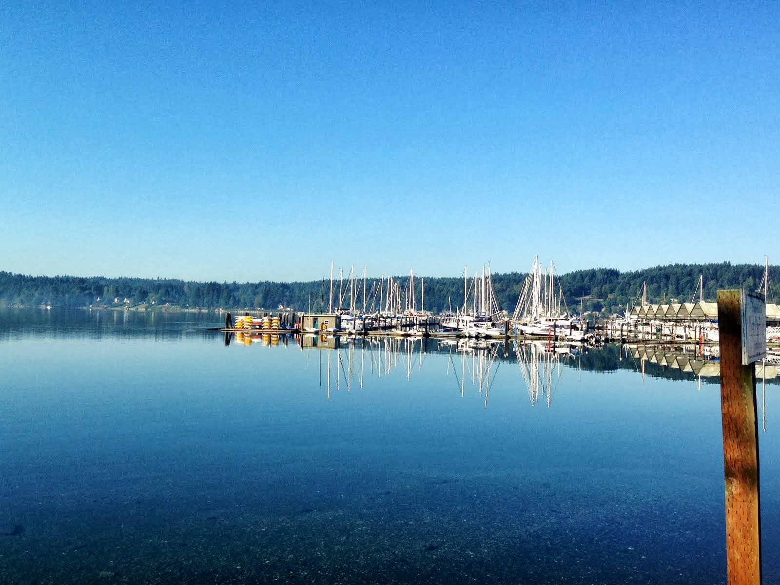 Morning on the water