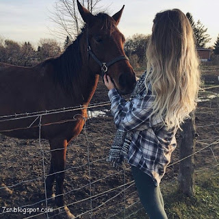 صور حصان , صور خيول عربية أصيلة , صور خيل