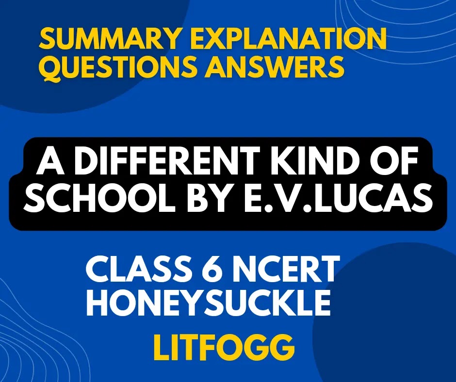 Different kind of school summary explanation questions answers