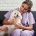 Best Pet Insurance for Senior Dogs: What to Look for and Top Picks in 2024