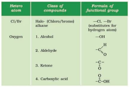 Functional Groups-CBSE Class 10 Science Notes Chapter 4 Carbon and its Compounds