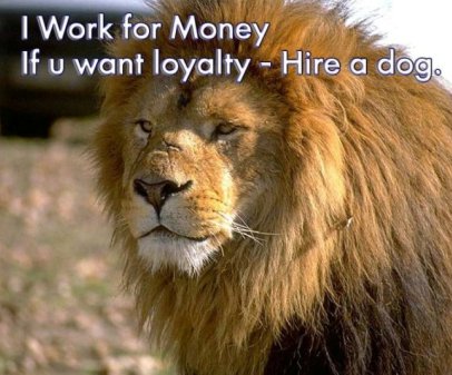 funny quote. Funny Quote Pic