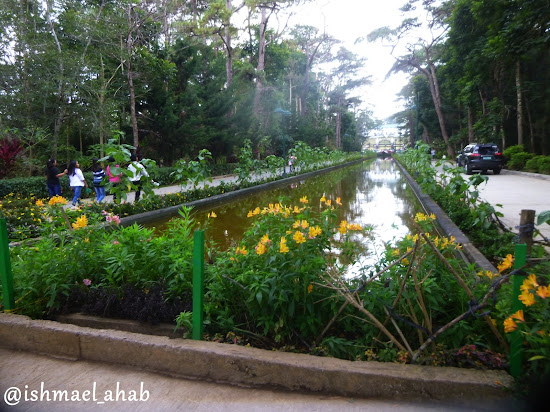 Pool of Pines in Wright Park of Baguio City