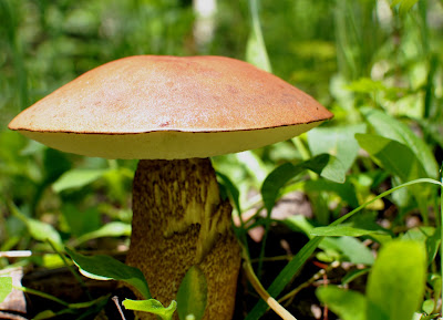 colorado, hiking