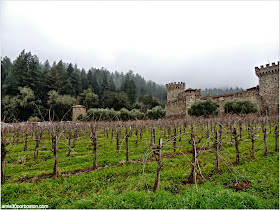 Ruta por las Bodegas del Valle de Napa: Viñas del Castello di Amorosa