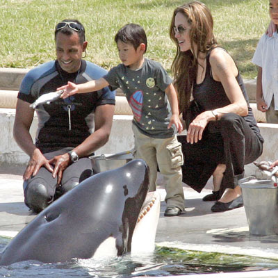 angelina jolie and brad pitt family pictures. Brad Pitt#39;s latest family