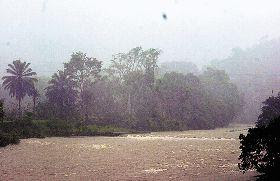 Rio Danto