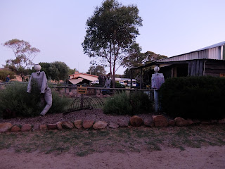 Sunflowers Farmstay