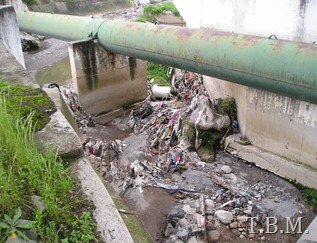 Rio T.B.M.
