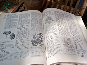 vintage-garden-dictionary