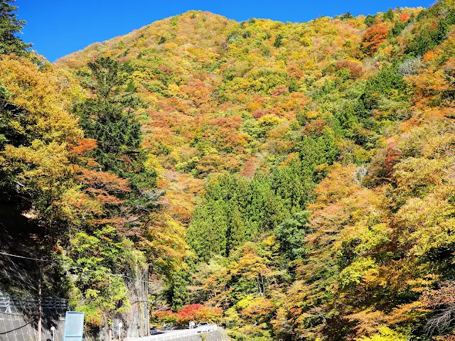 中津峡　紅葉