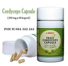 cordyceps Plus Capsule