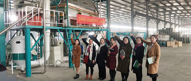 100t/24h maize milling plant in Hongdefa storage room