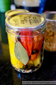 a photo of a jar of hot and spicy zucchini pickles