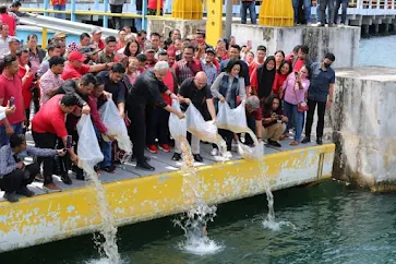 Ganjar Tabur Benih Ikan di Muara