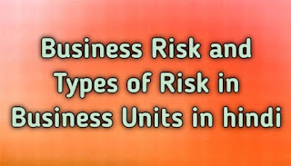 व्यावसायिक जोखिम और व्यावसायिक इकाइयों में जोखिमों के प्रकार