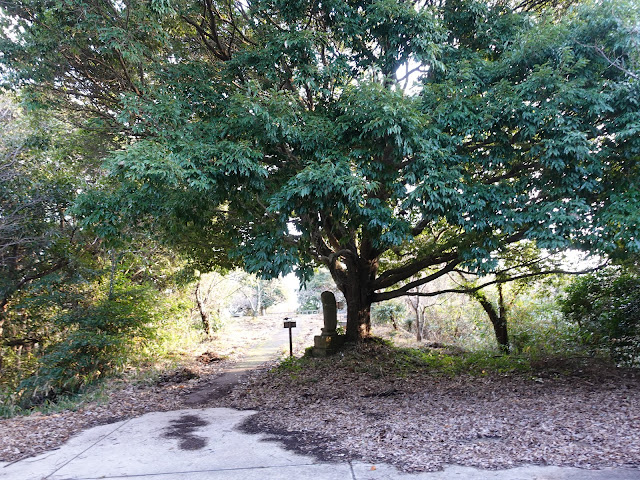 清水展望台(清水公園)