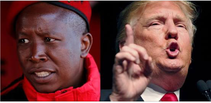 Julius Malema 'we are not scared of 'pathological liar' & racist Donald Trump - world war has bagan,this is about our land'