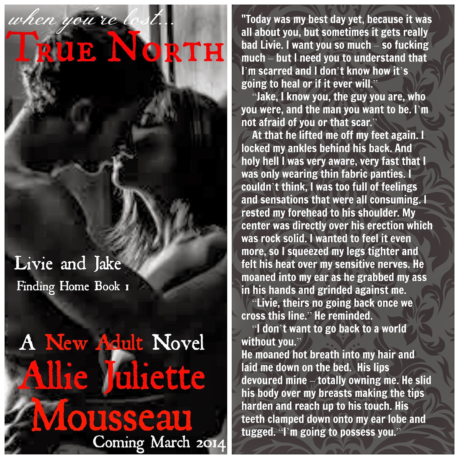 http://www.amazon.com/Allie-Juliette-Mousseau/e/B00CBIZ52M/?_encoding=UTF8&camp=1789&creative=390957&linkCode=ur2&qid=1394486223&sr=1-2-ent&tag=yohameatfrbo-20