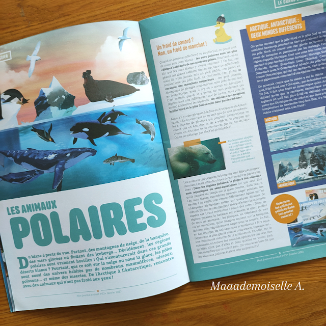 Mon journal animal # 13 - Les animaux polaires (Présentation & Avis)