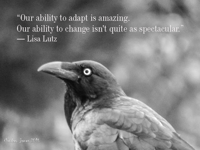 'Our ability to adapt is amazing. Our ability to change isn't quite as spectacular' - Lisa Lutz