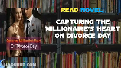 Capturing the Millionaire's Heart on Divorce Day Novel