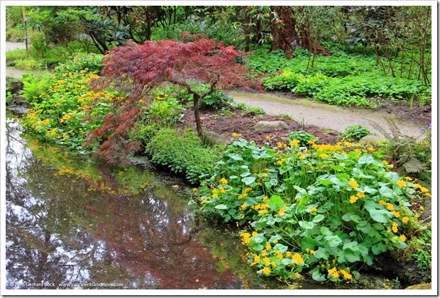 160410_Victoria_UVic_FinnertyGardens_0021