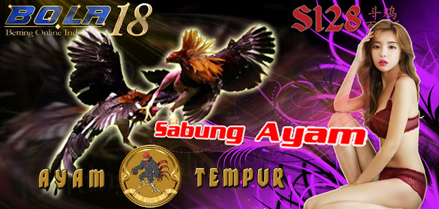 https://rumahallsolution.blogspot.com/2017/11/daftar-judi-sabung-ayam-online-s128.html