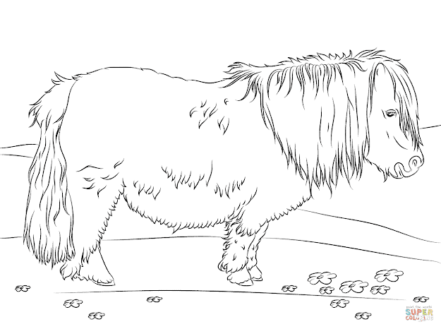 Best Wild Horse Coloring Pages Photos
