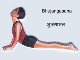 भुजंगासन संपुर्ण माहिती मराठी | Bhujangasana information in Marathi