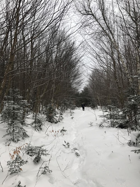 A mid December attempt to bushwhack to a back-country crag known as The Captain, deeply nestled between South Hancock, Mount Carrigain, and Sawyer River.