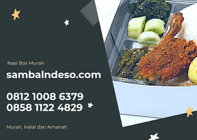 harga nasi box ayam bakar Bintaro sektor 9