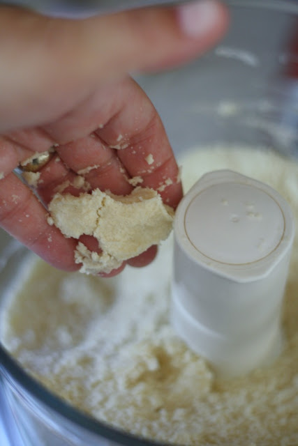 crust ingredients in food processor