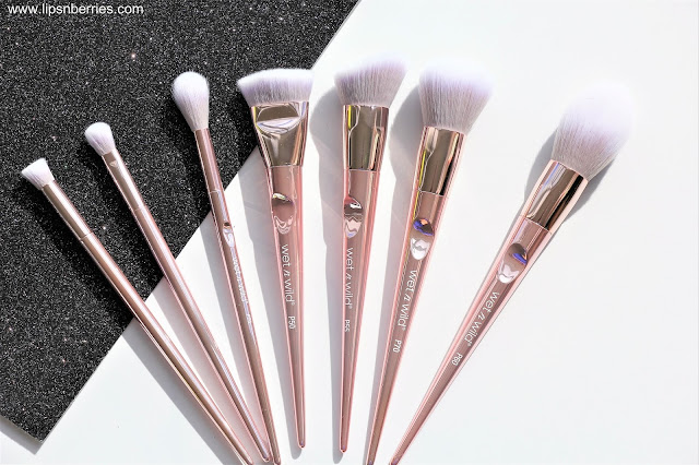 Wet n Wild Proline Brushes Review