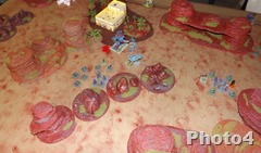 DSCF8027