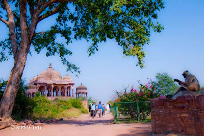 Ranthambore Fort @ Rajasthan, India : A trip to the fort is really a thrilling experience. The first thing that hits one is amazing view in every direction.: Posted by Ripple (VJ) : ripple, Vijay Kumar Sharma, ripple4photography, Frozen Moments, photographs, Photography, ripple (VJ), VJ, Ripple (VJ) Photography, Capture Present for Future, Freeze Present for Future, ripple (VJ) Photographs , VJ Photographs, Ripple (VJ) Photography : 