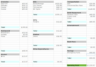 alan schram's personal spending recording spreadsheet example