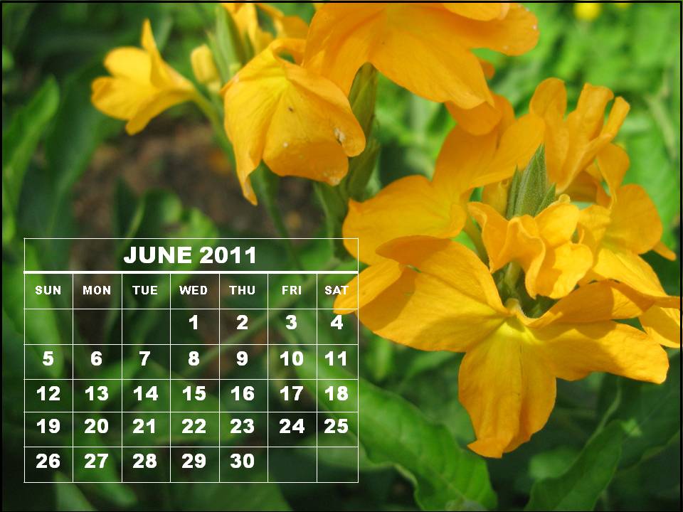 june 2011 calendar. June 2011 Calendar Printable