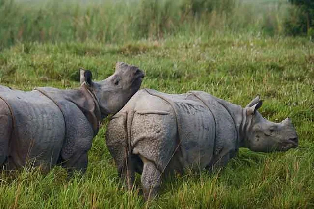 parc national de Jim Corbett