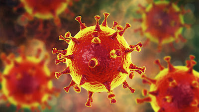 Coronavirus Covid-19