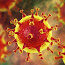 Coronavirus Covid-19