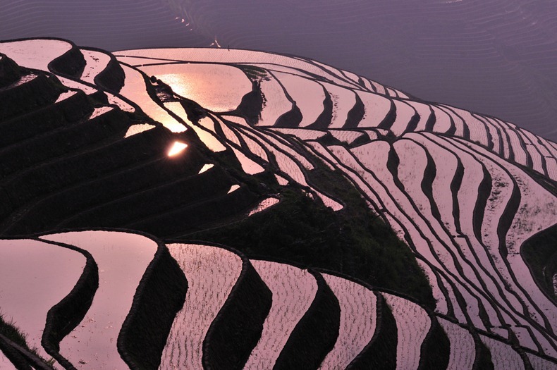 rice-terraces-11