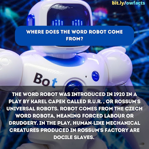 WTF Fun Fact - Where does the word robot come from?