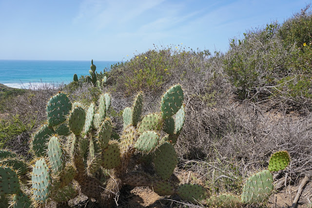 San-Diego-California