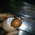 Strange!!! "I Cooked This Egg Today, And I Saw Egg Inside Egg" — Lady Reveals 