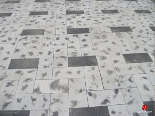 paving-tiles-Price