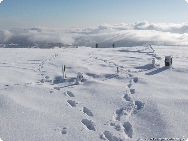 walkers on the cairn hill